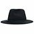 Wesley fedora black donna