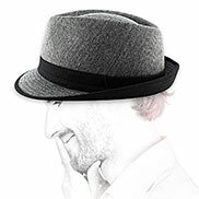 Carpino chester grey