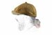 Dettagli Cappellino Gatsby coton marrone - image 1